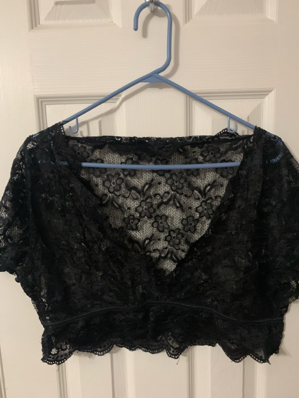 Black Lace Crop Top - Sheer Floral V-Neck